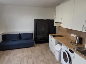 Pronájem bytu 1+kk, Plzeň - Jižní Předměstí, U Borského parku, 20 m2