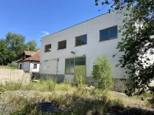 Pronájem výrobních prostor, Račice-Pístovice - Račice, 1622 m2