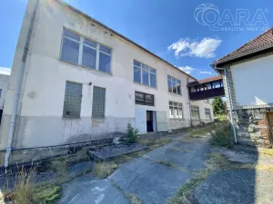 Pronájem výrobních prostor, Račice-Pístovice - Račice, 1622 m2