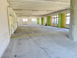 Pronájem výrobních prostor, Račice-Pístovice - Račice, 1622 m2