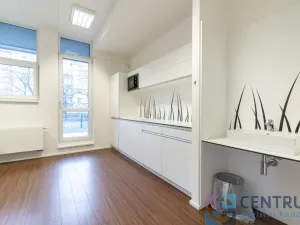 Pronájem kanceláře, Praha - Holešovice, U Pergamenky, 41 m2