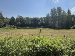 Prodej chaty, Lukavice - Lukavička, 60 m2