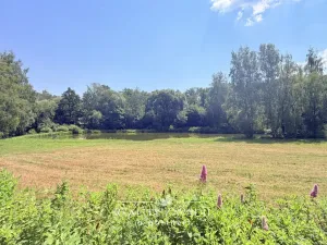 Prodej chaty, Lukavice - Lukavička, 60 m2