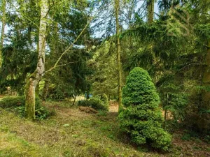 Prodej chaty, Malé Žernoseky, Opárenská, 80 m2
