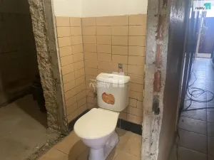 Prodej komerční nemovitosti, Příbram - Příbram IV, Mariánská, 140 m2