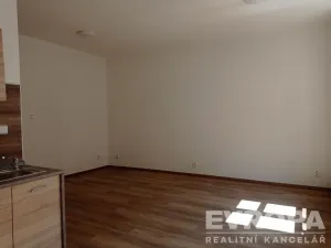 Pronájem bytu 1+kk, Liberec - Liberec II-Nové Město, Široká, 49 m2