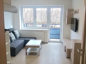 Pronájem bytu 1+kk, Brno, Hostinského, 28 m2