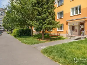 Prodej bytu 3+1, Sokolov, Marie Majerové, 63 m2