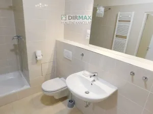 Pronájem bytu 1+kk, Plzeň - Jižní Předměstí, Magisterská, 34 m2