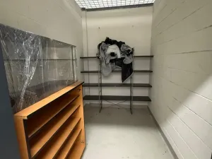 Pronájem bytu 2+kk, Praha - Modřany, Zlochova, 55 m2