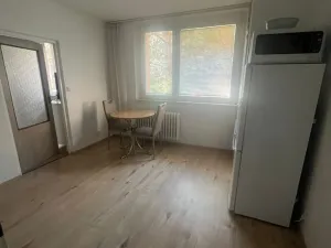 Pronájem bytu 1+1, Brno - Řečkovice, Žitná, 34 m2