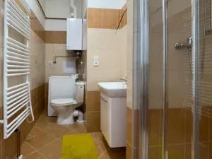 Pronájem bytu 1+kk, Pardubice, Železničního pluku, 29 m2