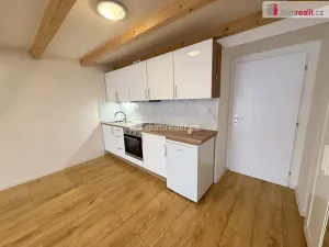 Pronájem bytu 1+kk, Praha - Smíchov, Na Valentince, 48 m2
