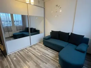 Pronájem bytu 2+1, Zruč nad Sázavou, 56 m2
