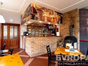 Prodej komerční nemovitosti, Srbsko, K Přívozu, 458 m2