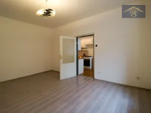 Pronájem rodinného domu, Roudnice nad Labem, Hochmanova, 50 m2