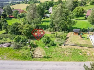 Prodej pozemku pro bydlení, Těchonín, 1184 m2
