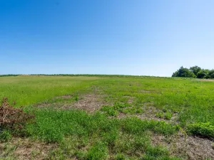 Prodej pozemku pro bydlení, Skalice - Číbuz, 1500 m2