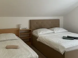 Prodej ubytování, Bartošovice v Orlických horách, 500 m2