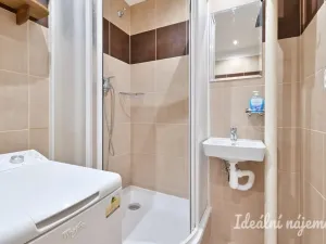 Pronájem bytu 2+1, Brno, Hlinky, 55 m2