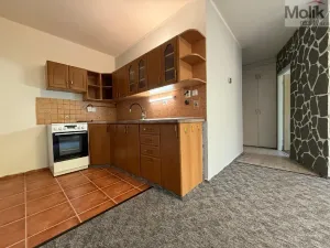 Prodej bytu 2+kk, Most, F. L. Čelakovského, 40 m2