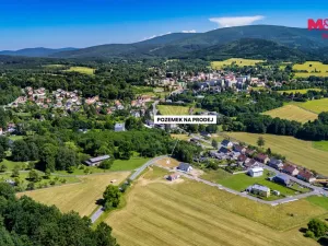 Prodej pozemku pro bydlení, Nové Město pod Smrkem - Hajniště, 1229 m2