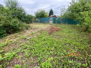 Prodej chaty, Opava - Předměstí, Jaselská, 15 m2