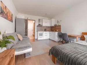 Prodej bytu 1+kk, Praha - Horní Měcholupy, Mantovská, 40 m2