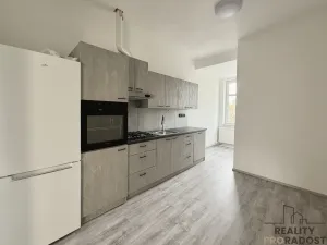 Pronájem bytu 2+1, Brno, Veslařská, 57 m2