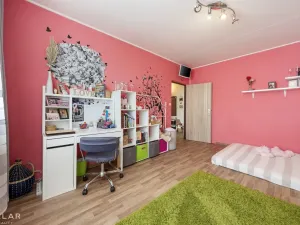 Prodej bytu 3+1, Veselí nad Moravou, Hutník, 75 m2