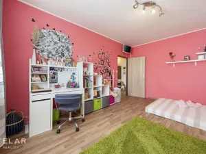 Prodej bytu 3+1, Veselí nad Moravou, Hutník, 75 m2