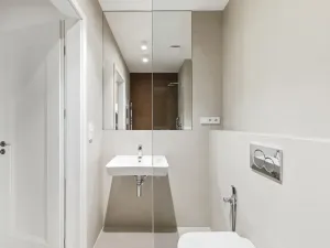 Pronájem bytu 4+kk, Praha - Nusle, Sezimova, 87 m2