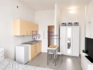 Pronájem bytu 1+kk, Jindřichův Hradec - Jindřichův Hradec I, Komenského, 27 m2