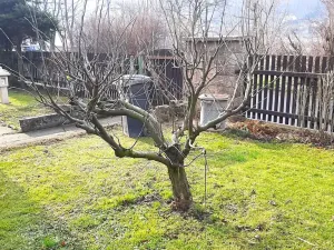 Prodej rodinného domu, Ústí nad Labem, Koperníkova, 149 m2