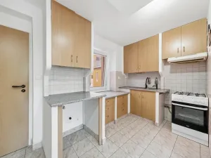 Prodej rodinného domu, Čelechovice na Hané - Studenec, 350 m2