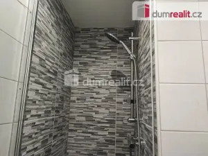 Pronájem bytu 1+1, Spálené Poříčí, Zámecká, 39 m2