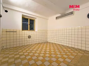 Pronájem obchodního prostoru, Brodek u Přerova, Třebízského, 50 m2