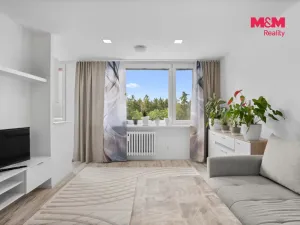 Prodej bytu 1+kk, Kladno - Kročehlavy, V Bažantnici, 26 m2