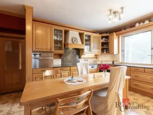 Prodej rodinného domu, Hodonice, 402 m2