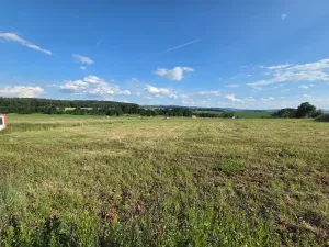 Prodej pozemku pro bydlení, Benešov, 1348 m2