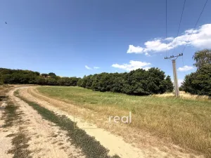 Prodej komerčního pozemku, Boleradice, 3025 m2