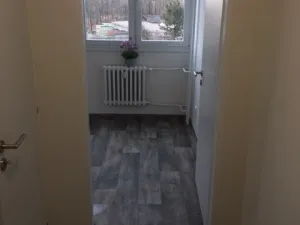 Pronájem bytu 1+1, Ostrava - Moravská Ostrava, Gen. Píky, 36 m2