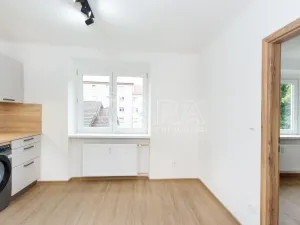 Pronájem bytu 1+1, Sezimovo Ústí, Lipová, 31 m2