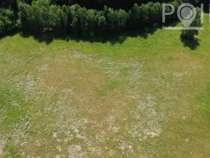Prodej pozemku pro bydlení, Gruna - Žipotín, 3632 m2