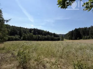 Prodej pozemku pro bydlení, Gruna - Žipotín, 3632 m2