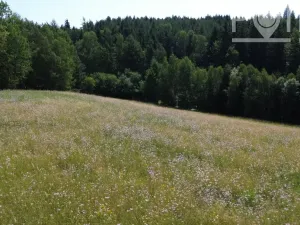 Prodej pozemku pro bydlení, Gruna - Žipotín, 3632 m2