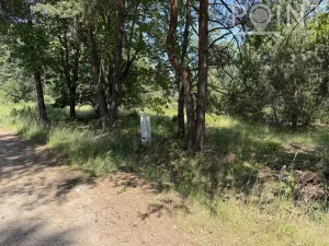 Prodej komerčního pozemku, Gruna - Žipotín, 3632 m2