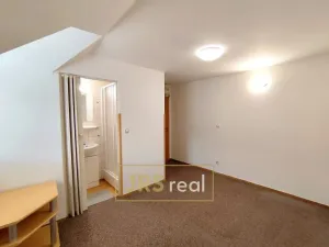 Pronájem bytu 1+1, Velké Pavlovice, 31 m2