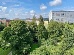 Pronájem bytu 1+kk, Praha - Karlín, Nekvasilova, 27 m2