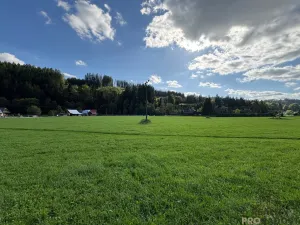 Prodej pozemku pro bydlení, Velké Karlovice, 17000 m2